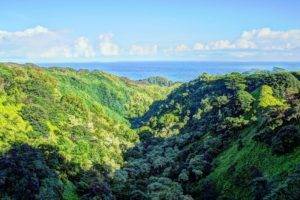 tropical water, Tropical forest, Hawaii, Isle of Maui, Maui, Palm trees, Beach, Waterfall
