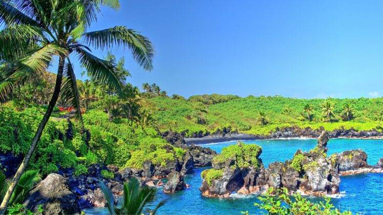 tropical water, Tropical forest, Hawaii, Isle of Maui, Maui, Palm trees, Beach, Waterfall HD Wallpaper Desktop Background