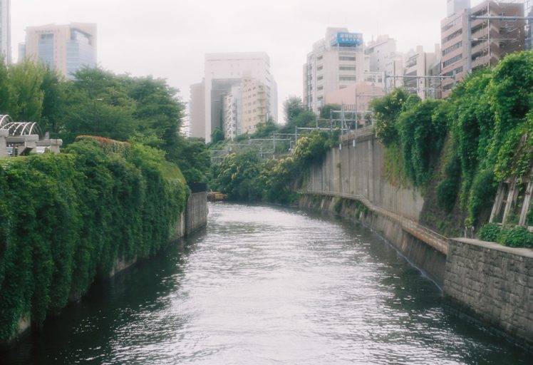 nature, Japan HD Wallpaper Desktop Background