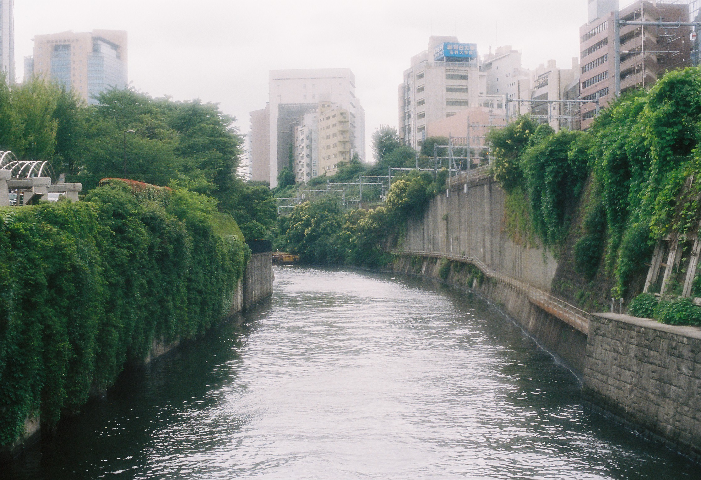 nature, Japan Wallpaper