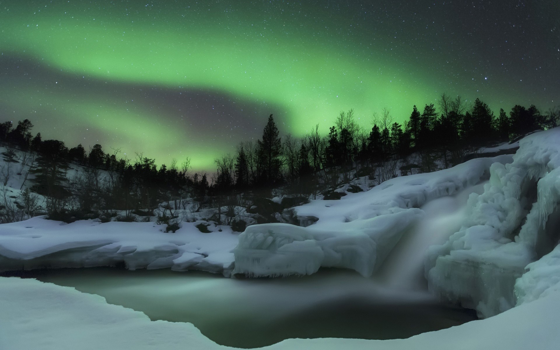 snow, Aurora  borealis, Forest Wallpaper