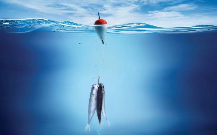 fishing rod, Water, Sea, Fish, Underwater HD Wallpaper Desktop Background