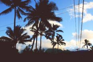 nature, Palm trees, Mountains, Sky, Clouds