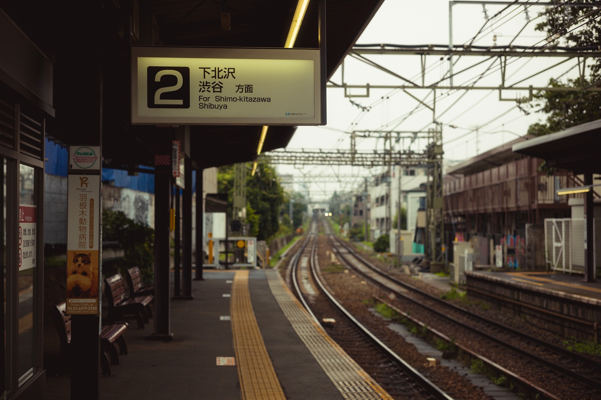 Japan, Cityscape Wallpaper