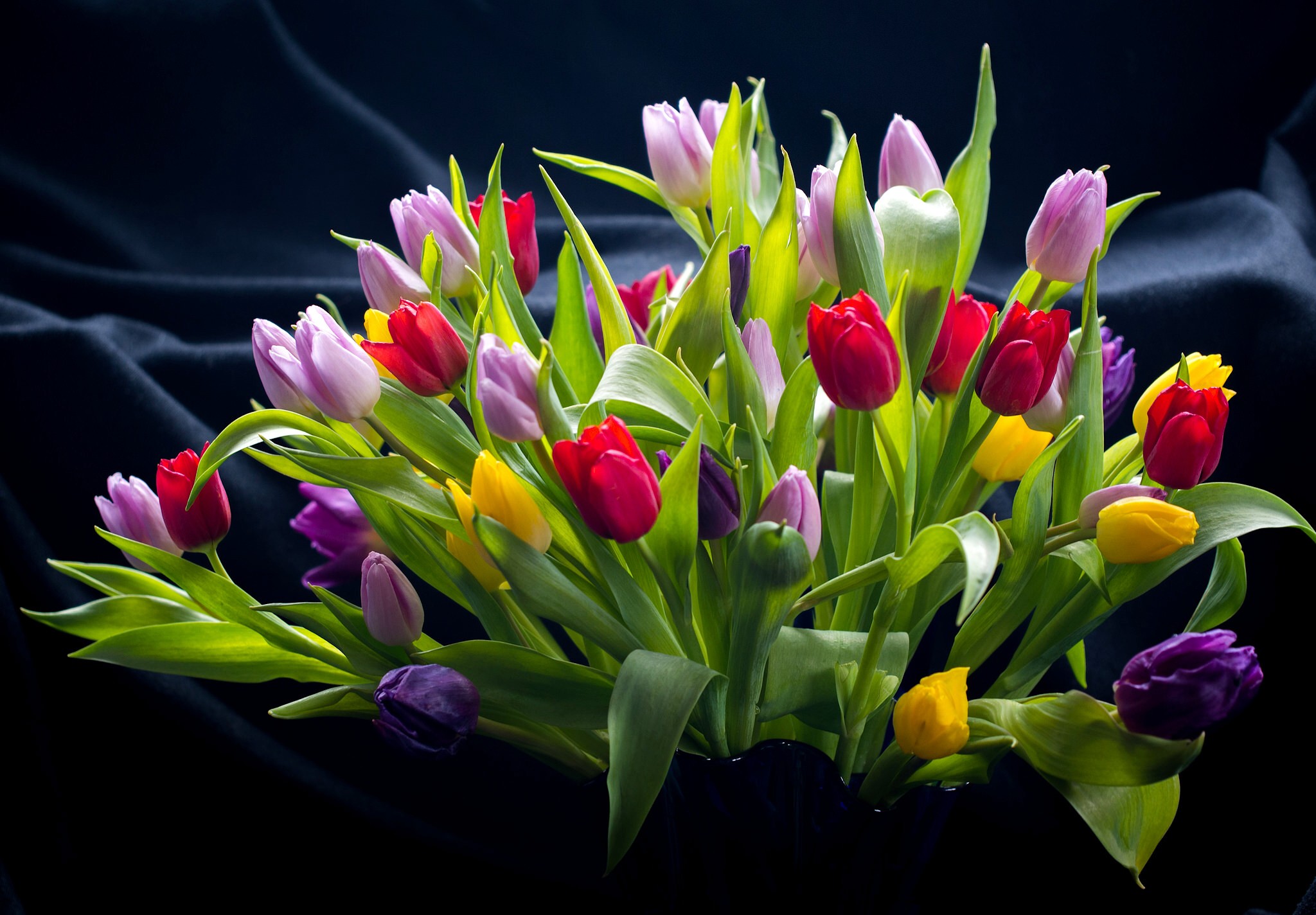 flowers, Simple background, Colorful, Plants, Leaves, Tulips Wallpaper