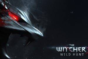 gamers, The Witcher 3: Wild Hunt