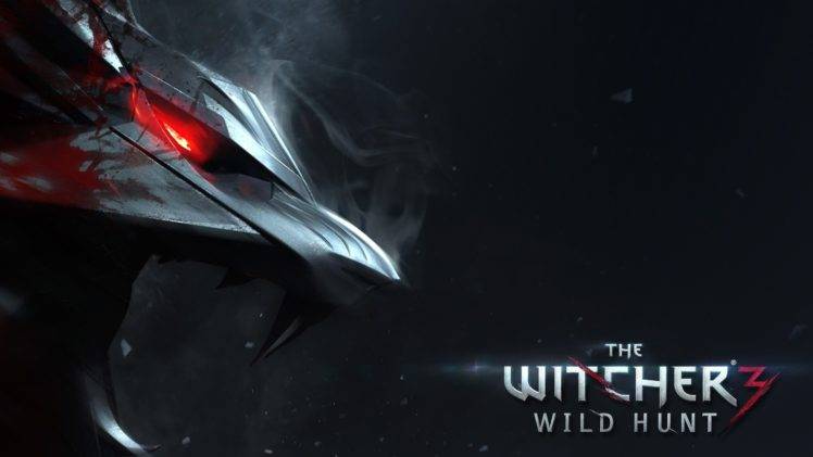 gamers, The Witcher 3: Wild Hunt HD Wallpaper Desktop Background