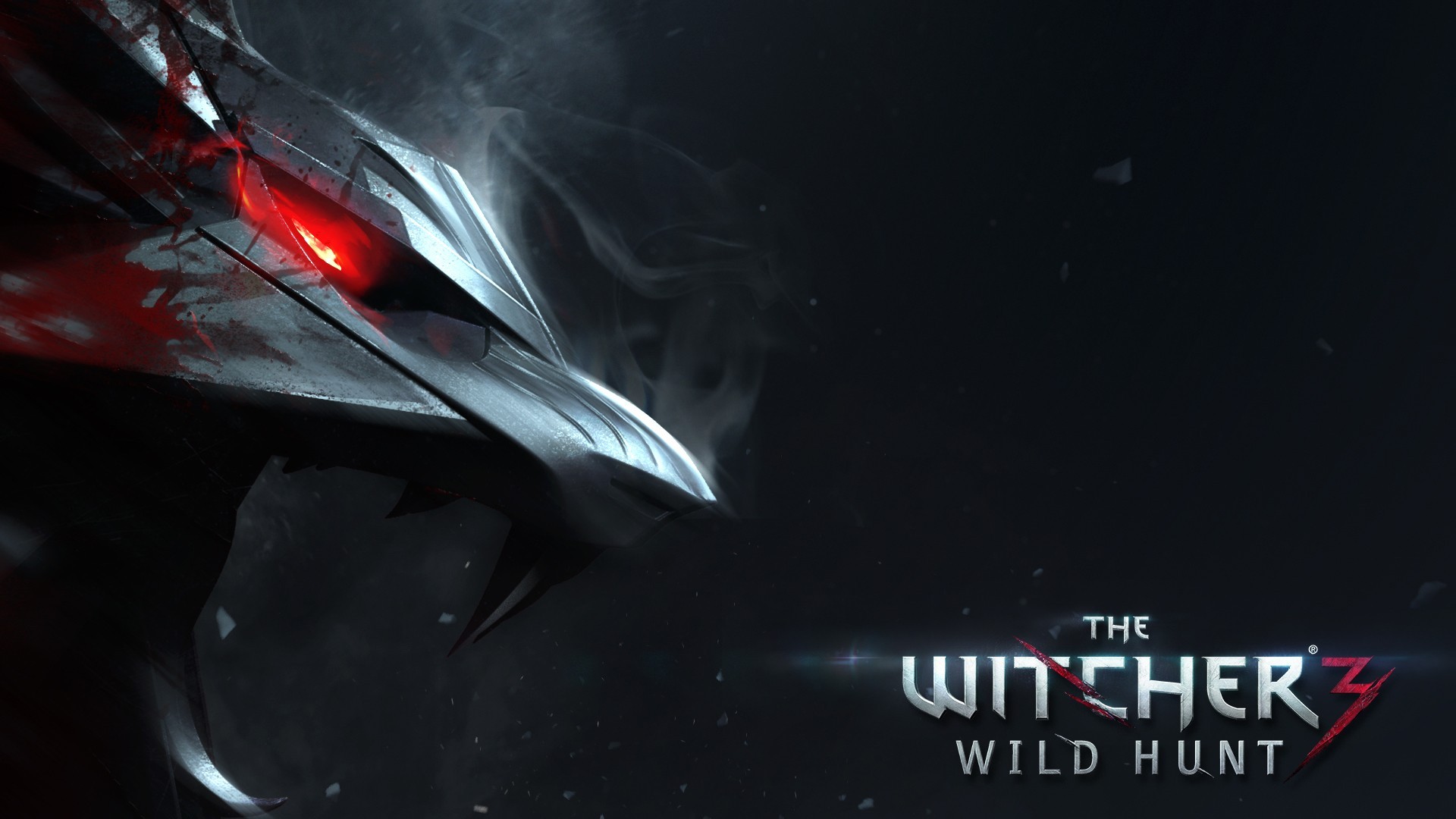 gamers, The Witcher 3: Wild Hunt Wallpaper