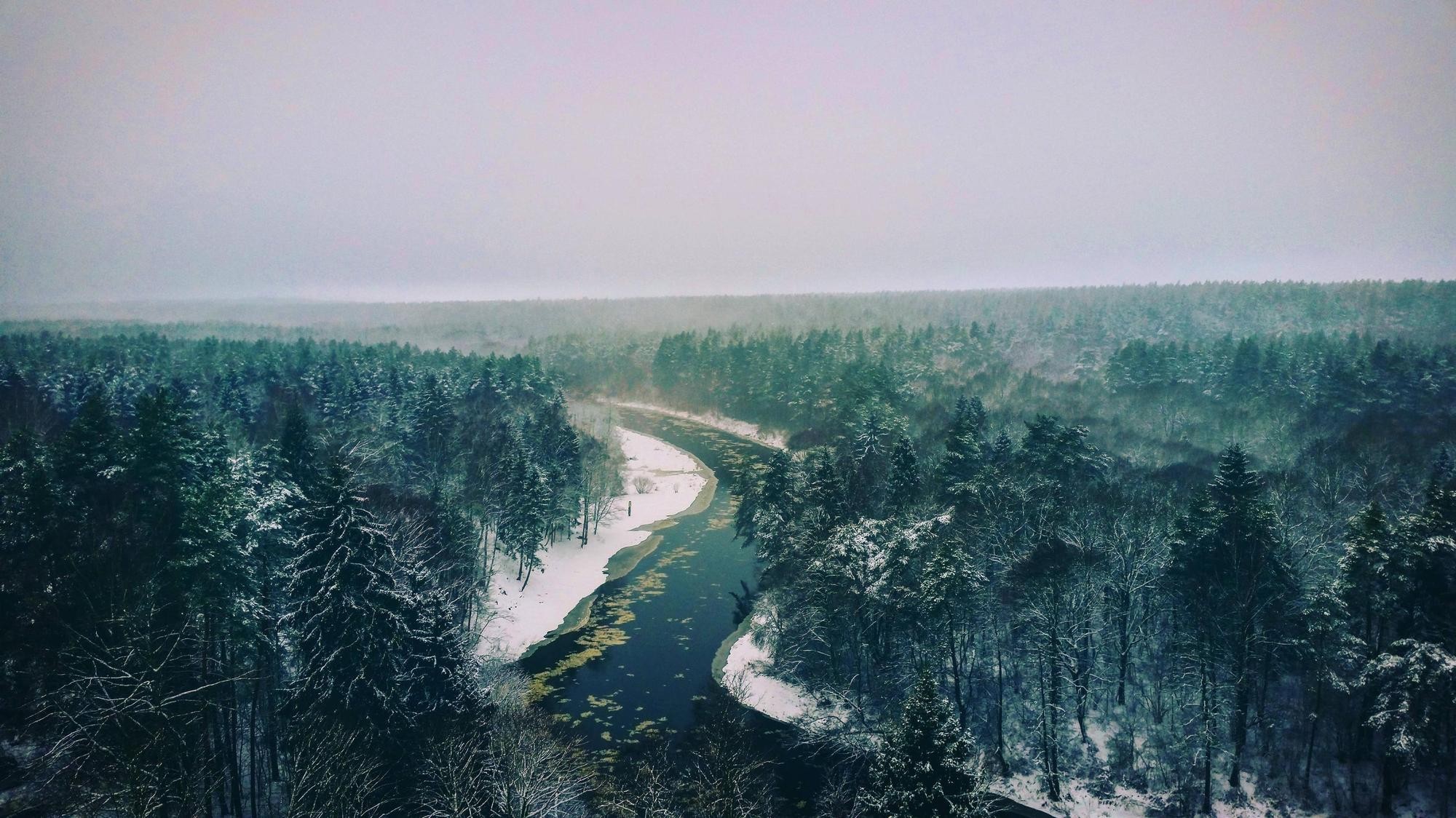 river, Snowdrops, Landscape Wallpaper