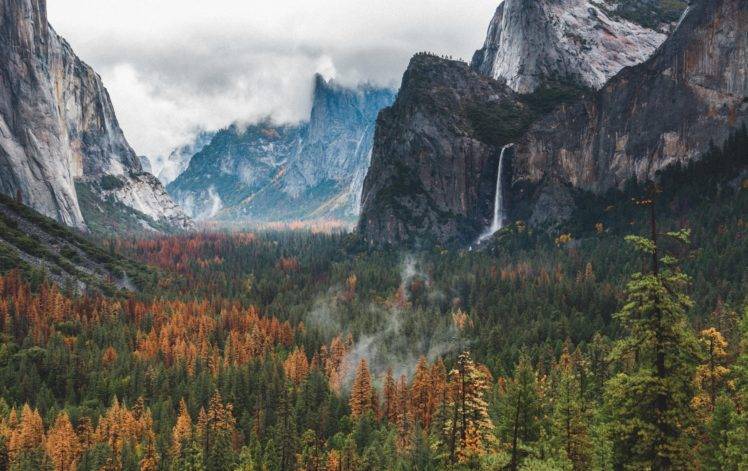 nature, Mountains, Forest, Waterfall HD Wallpaper Desktop Background