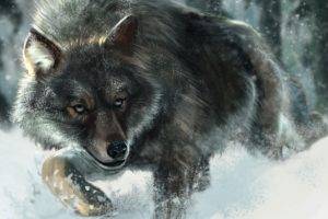 wolf, Snow, Animals, Wildlife