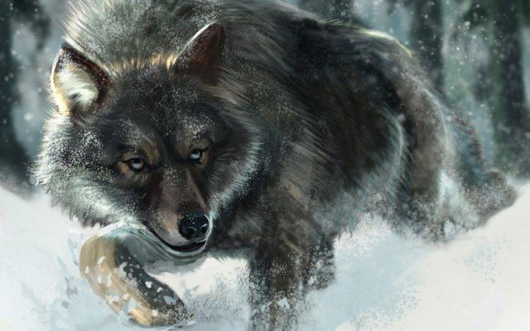 wolf, Snow, Animals, Wildlife HD Wallpaper Desktop Background