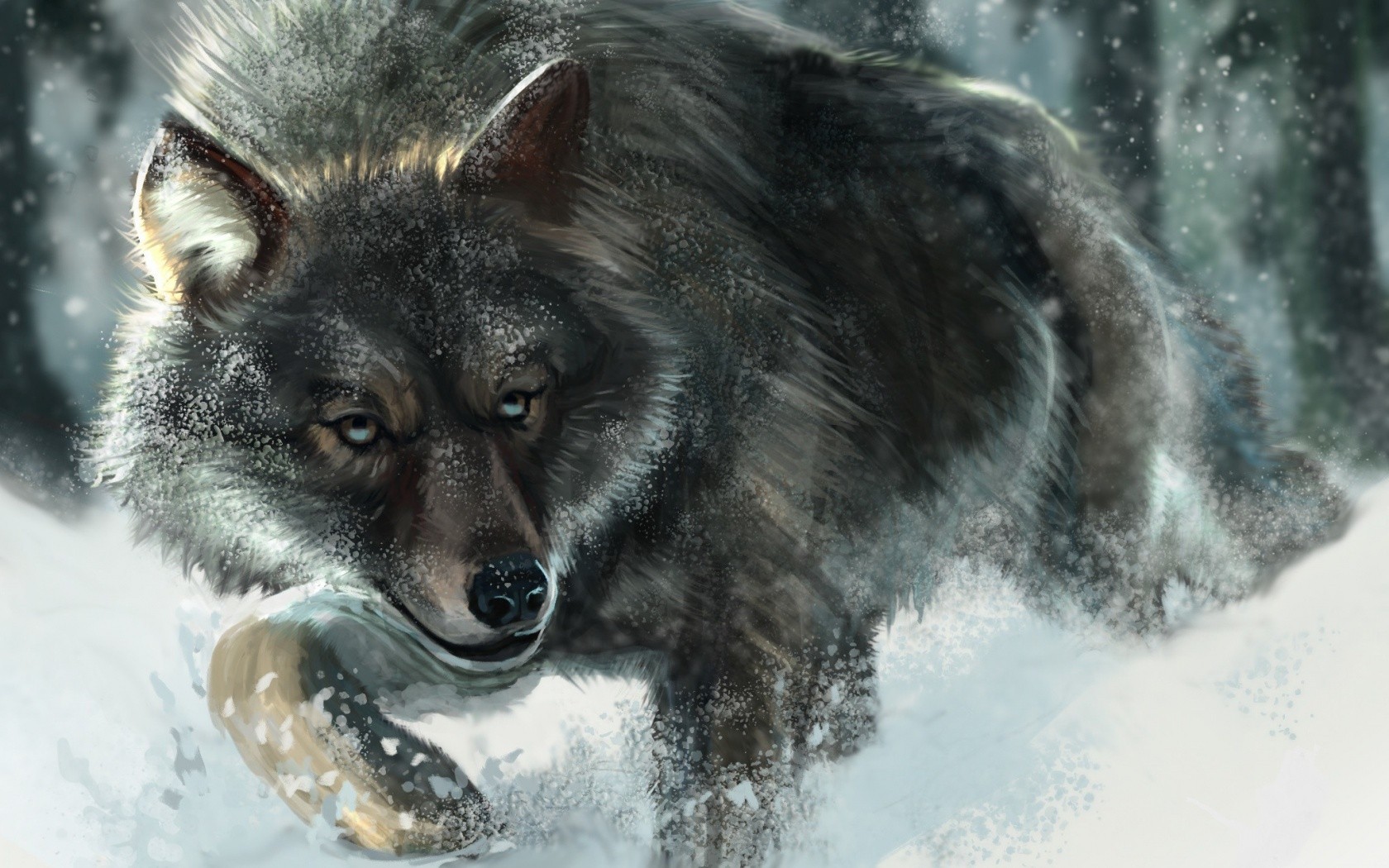 wolf, Snow, Animals, Wildlife Wallpaper