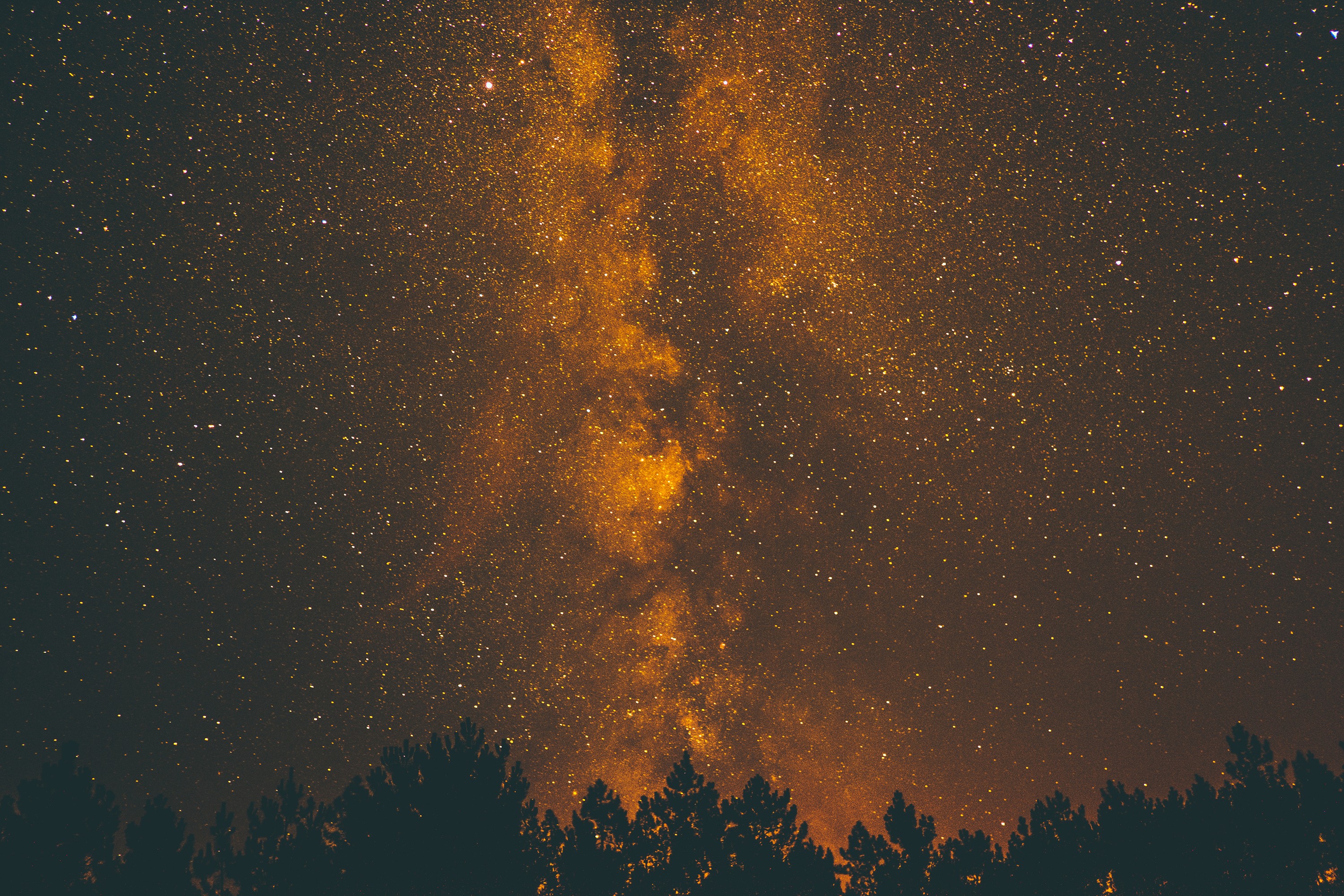 stars, Night sky, Forest Wallpaper