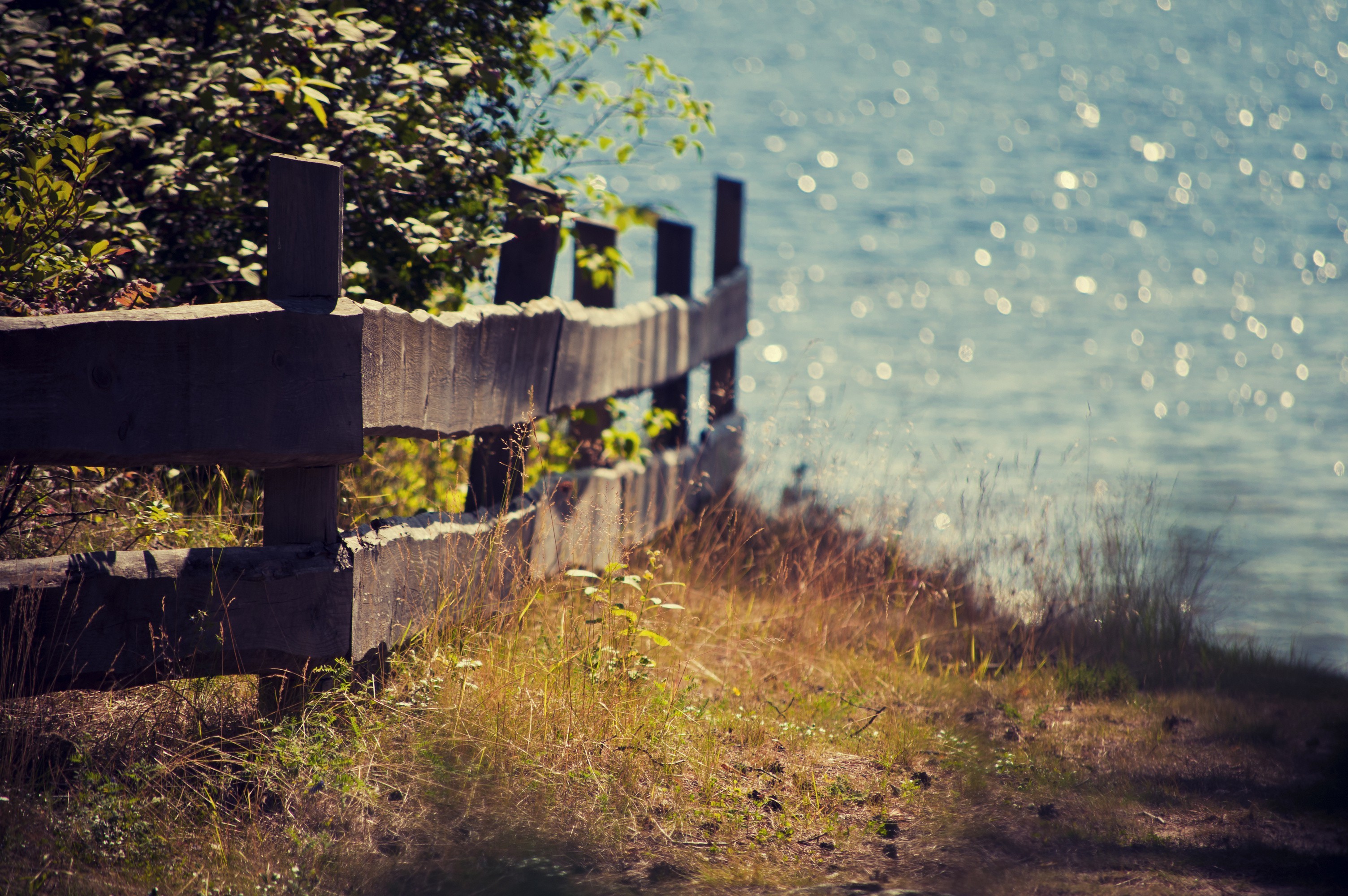 landscape, Nature Wallpaper