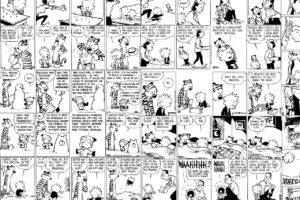 comic books, Calvin and Hobbes