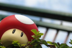 Super Mario, Mushroom