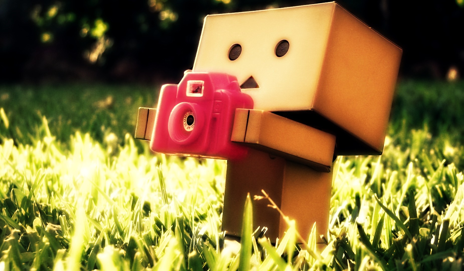 Danbo Wallpaper