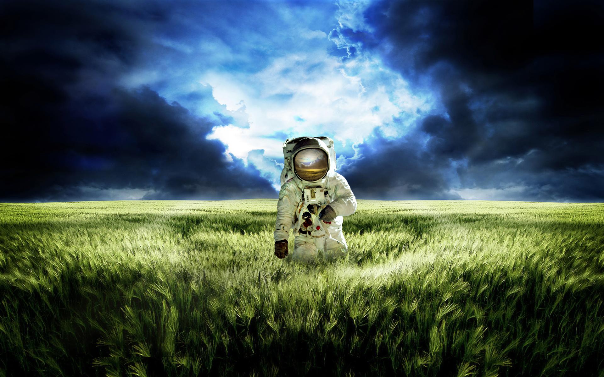 astronaut, Field Wallpaper