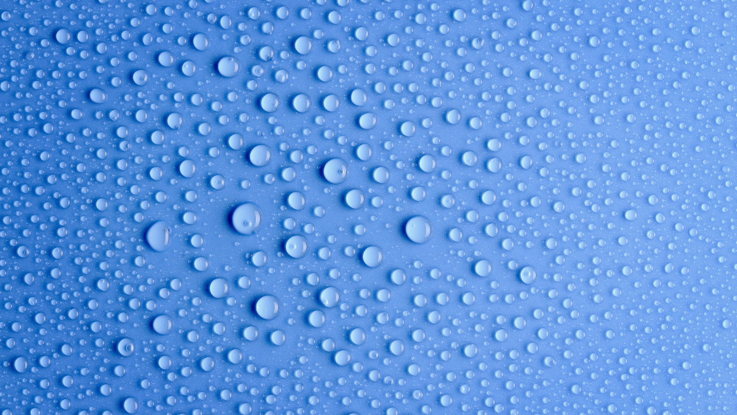 water drops, Blue background Wallpaper