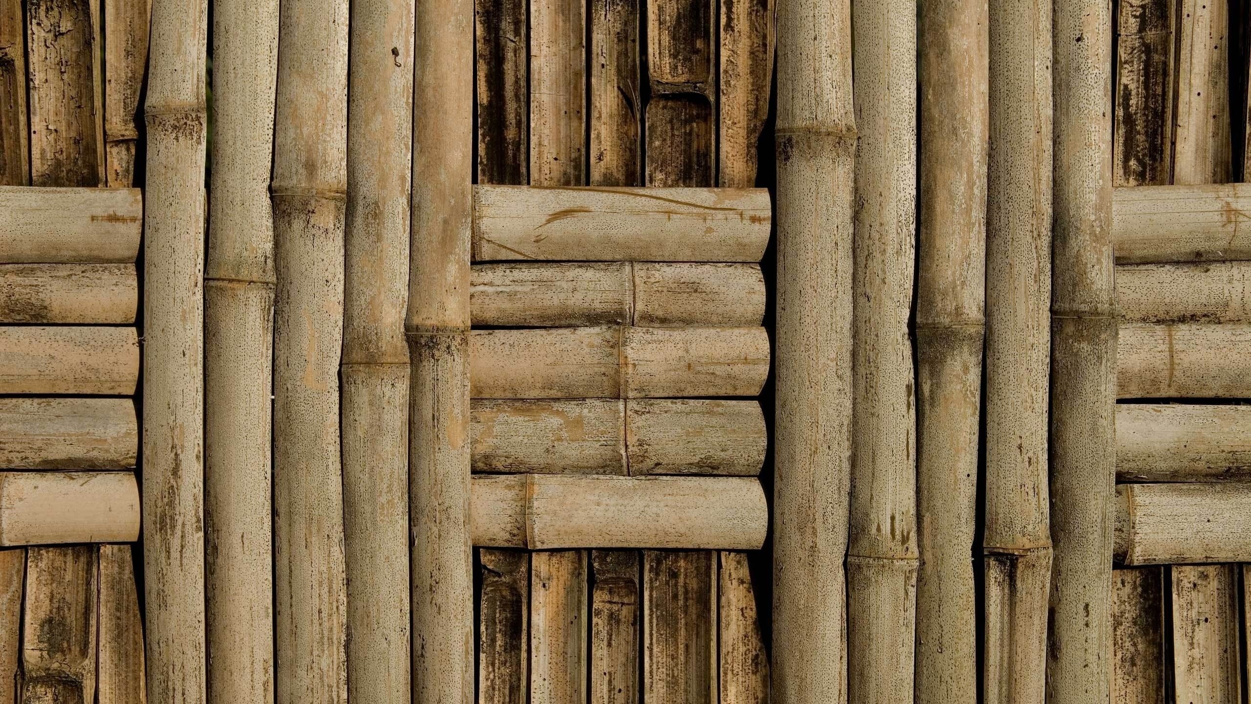 bamboo Wallpaper