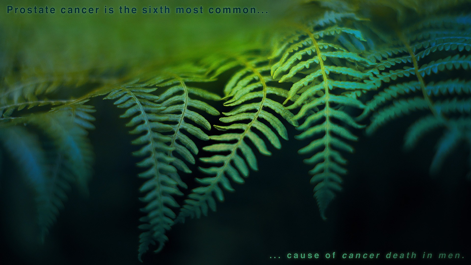 ferns, Fuckscapes Wallpaper
