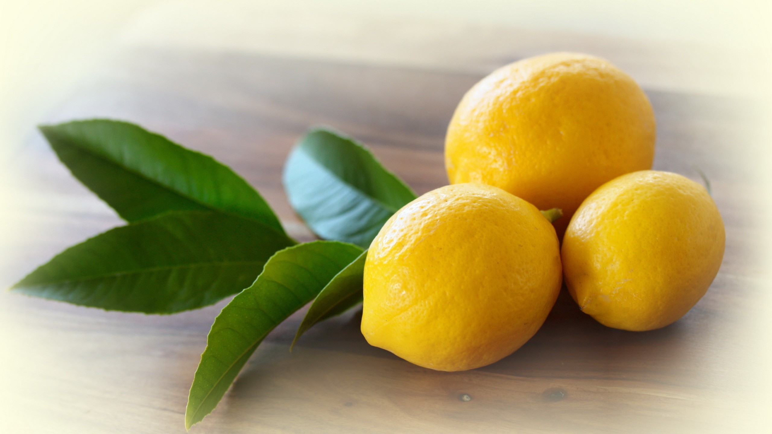 food, Lemons Wallpaper
