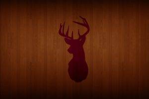 deer, Wooden surface, Wood