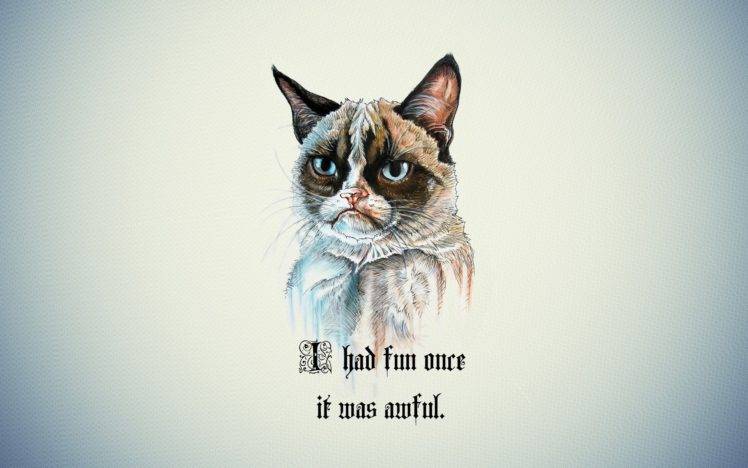 quote, Cartoon, Grumpy Cat HD Wallpaper Desktop Background