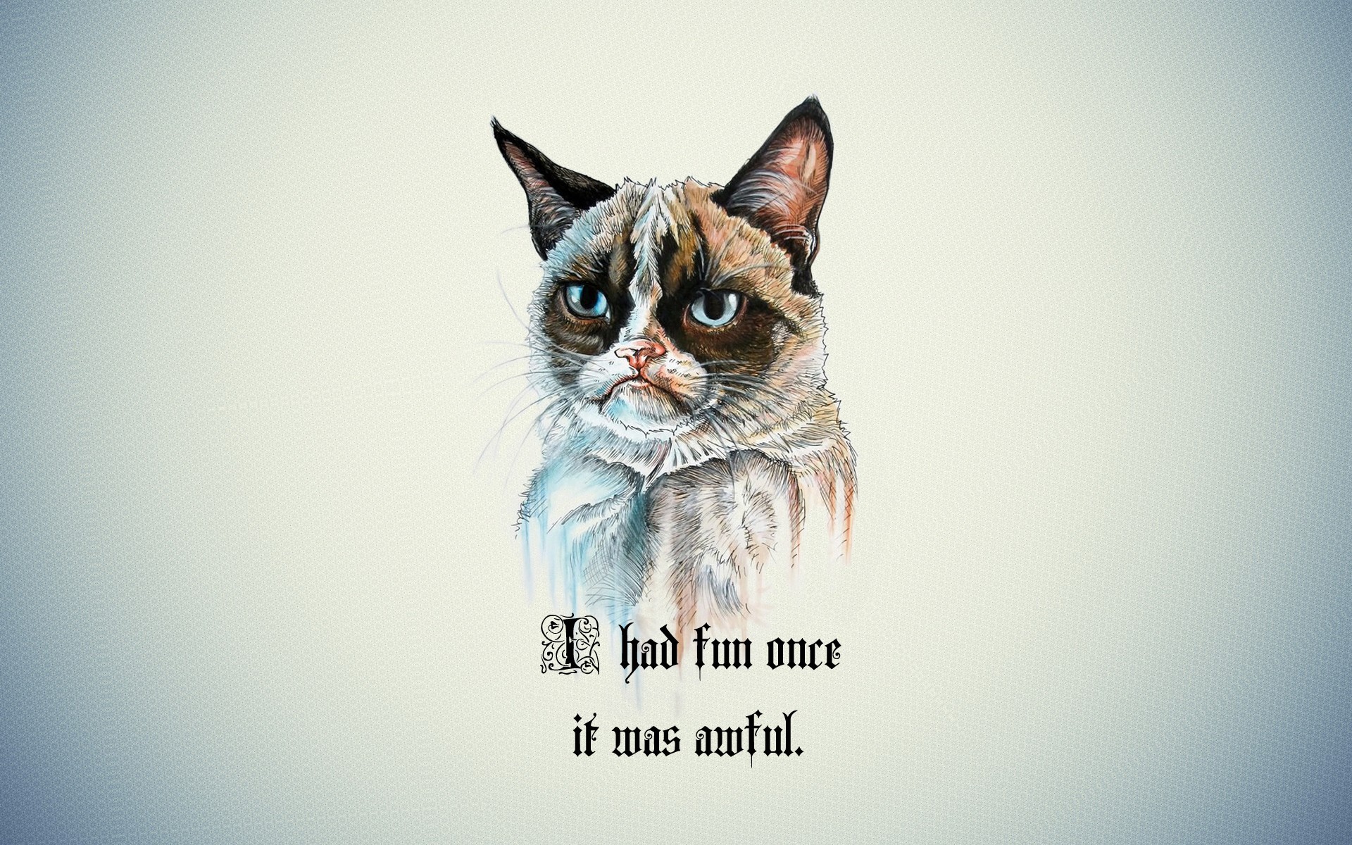 quote, Cartoon, Grumpy Cat Wallpaper