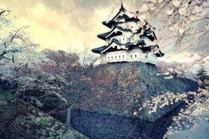 Japan, Castle, Cherry blossom
