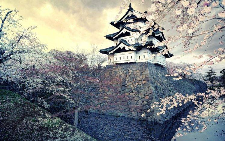 Japan, Castle, Cherry blossom HD Wallpaper Desktop Background