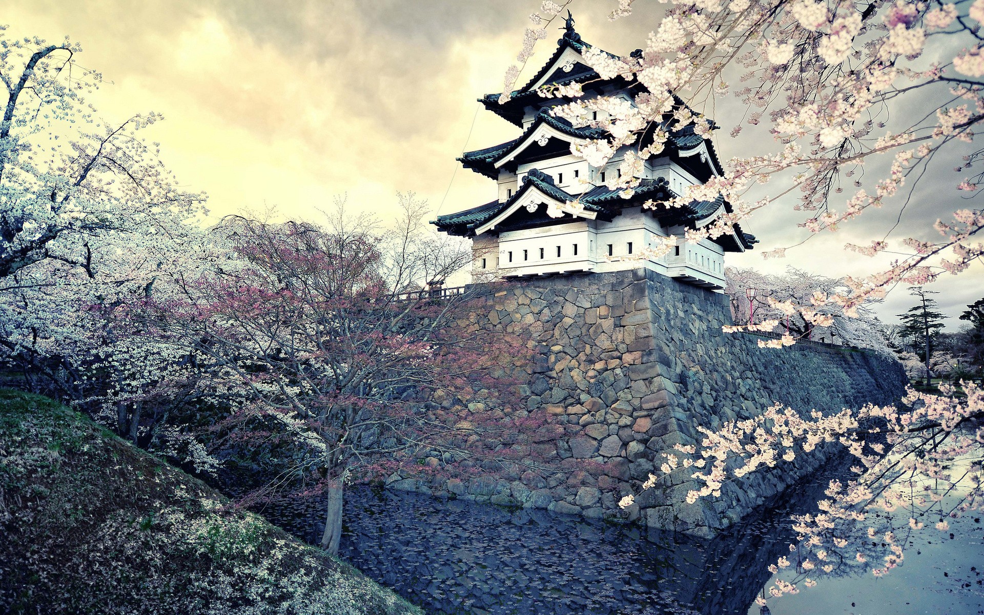 Japan, Castle, Cherry blossom Wallpaper