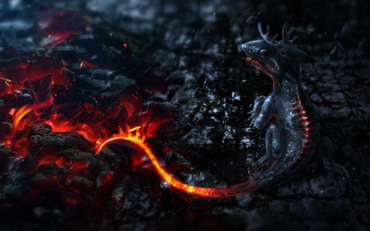 dragon, Colorful HD Wallpaper Desktop Background