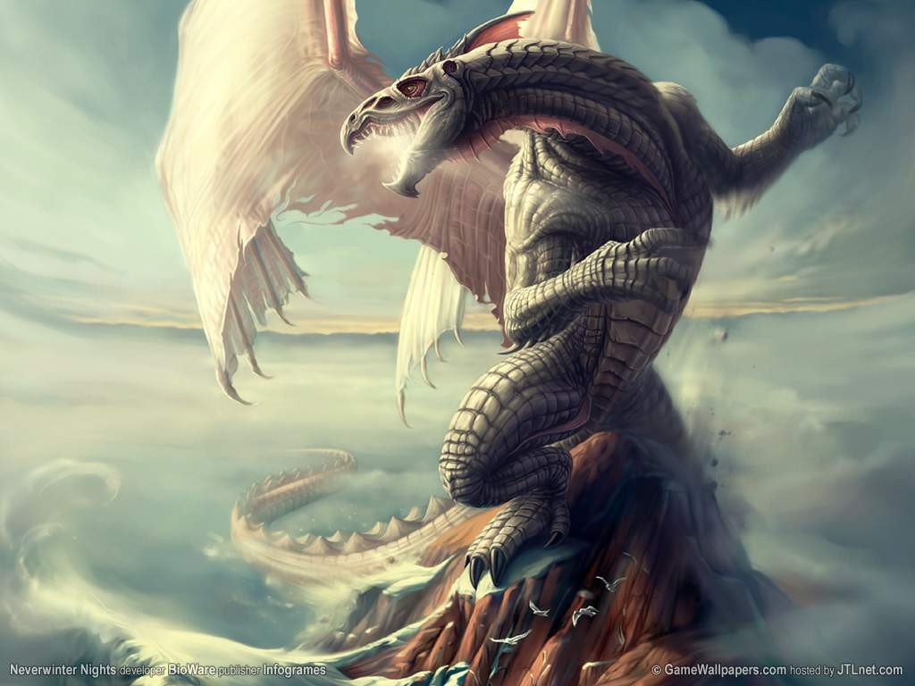 dragon Wallpaper