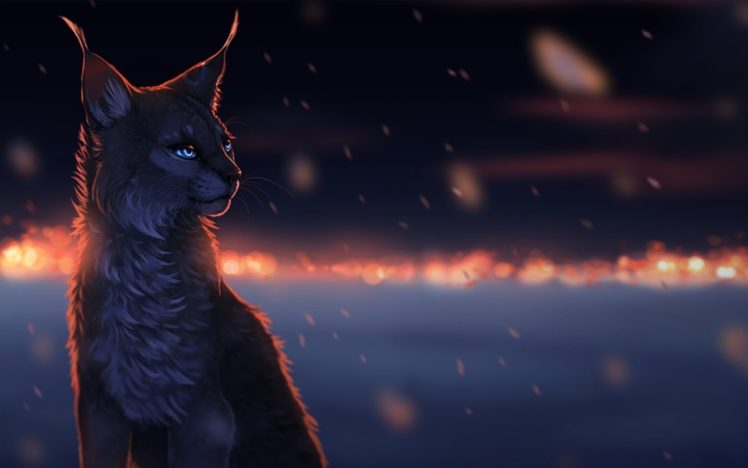 digital art, Cat HD Wallpaper Desktop Background