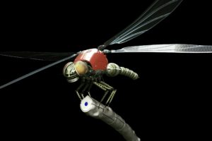 dragonflies, Robot