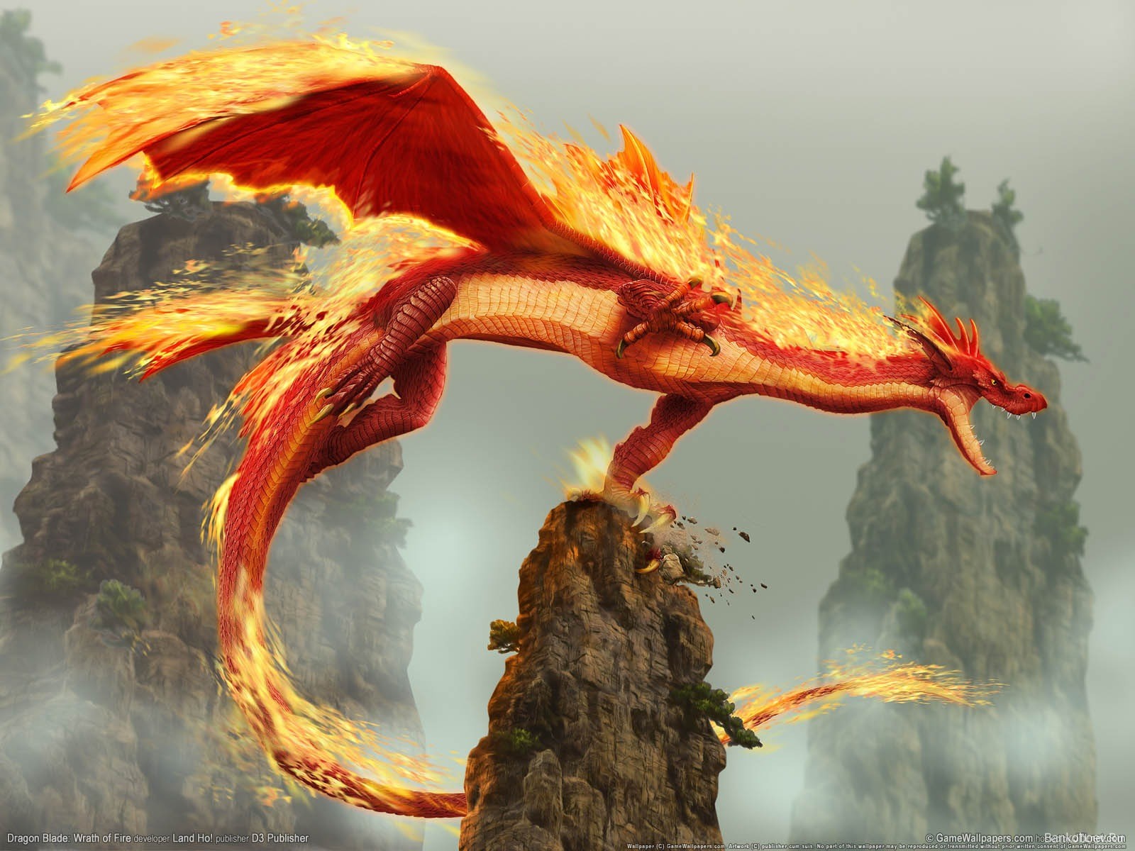 fire, Dragon Wallpaper