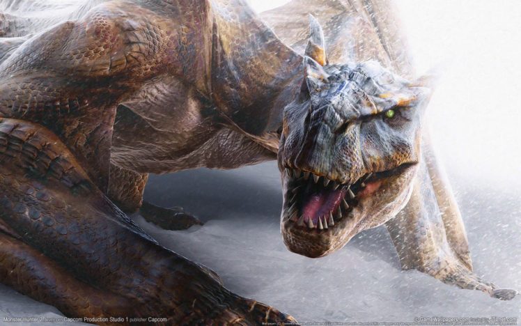 Monster Hunter, Dragon, Tigrex HD Wallpaper Desktop Background