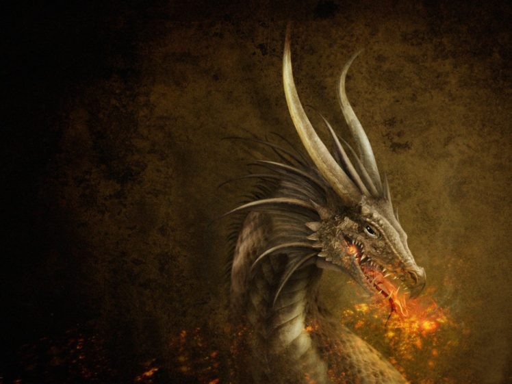 dragon HD Wallpaper Desktop Background