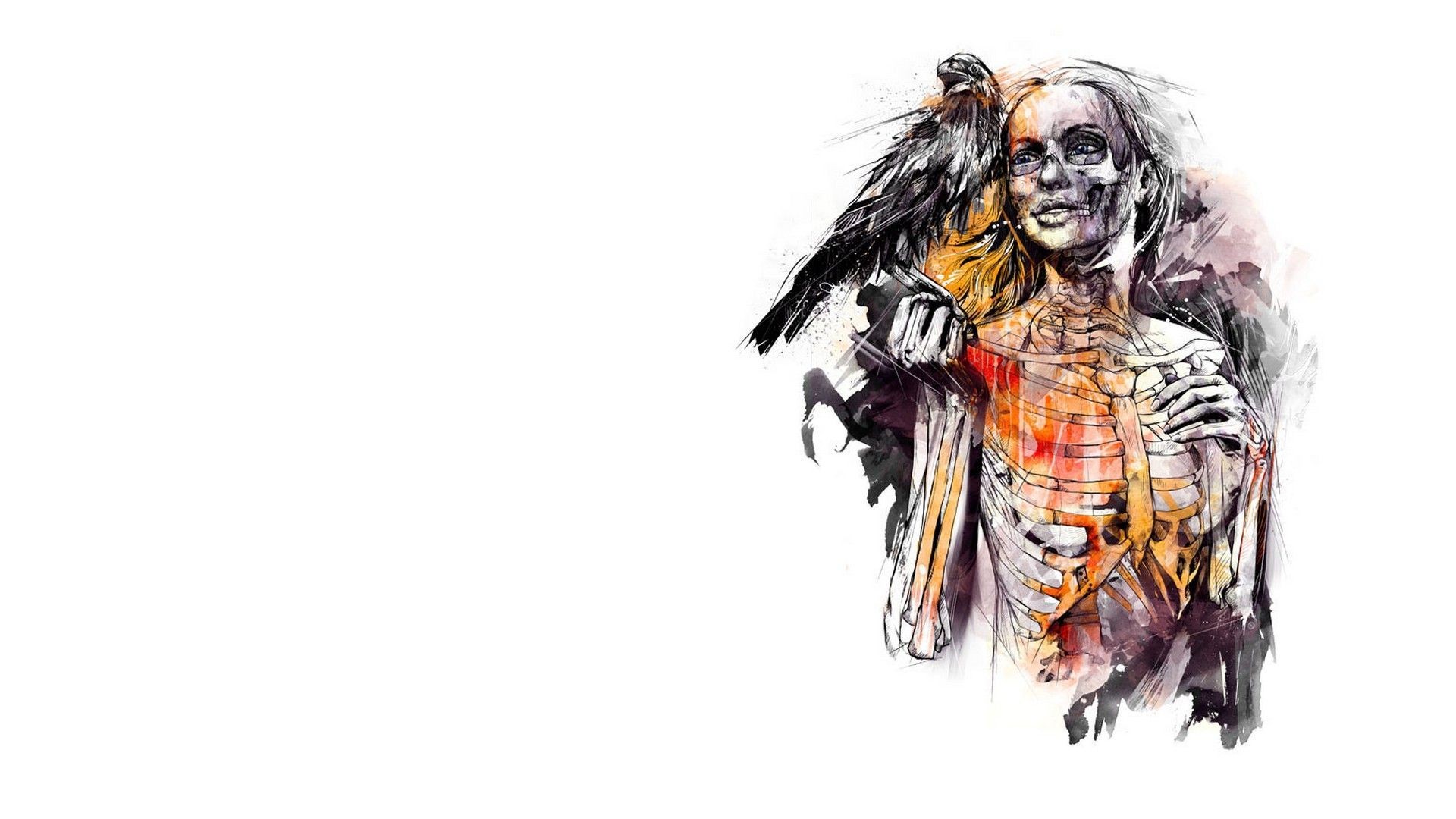 digital art, Skeleton, Death, Women, Face, Drawing, Crow, Raven, Birds, Bones, White  background Wallpaper