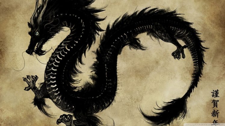 dragon, Illustration, Chinese dragon HD Wallpaper Desktop Background