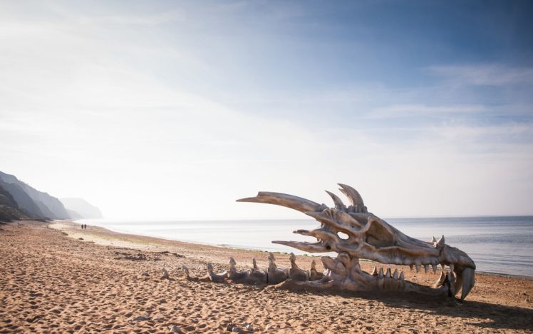 dragon, Beach HD Wallpaper Desktop Background