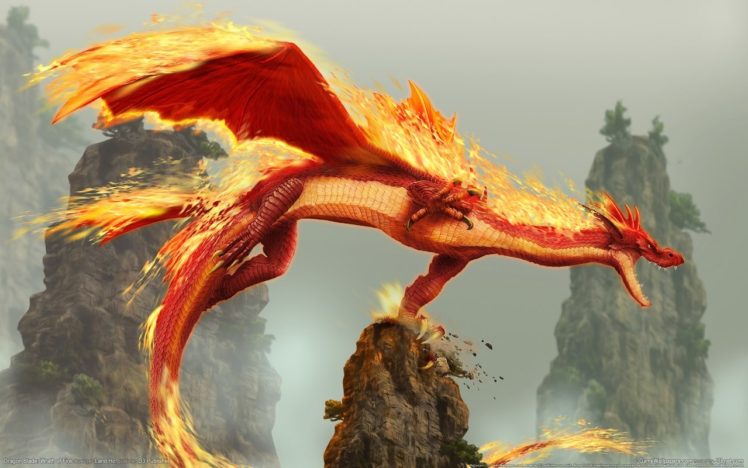 dragon, Fire HD Wallpaper Desktop Background