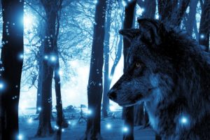 fantasy art, Wolf, Lights, Animals, Landscape, Blue, Trees