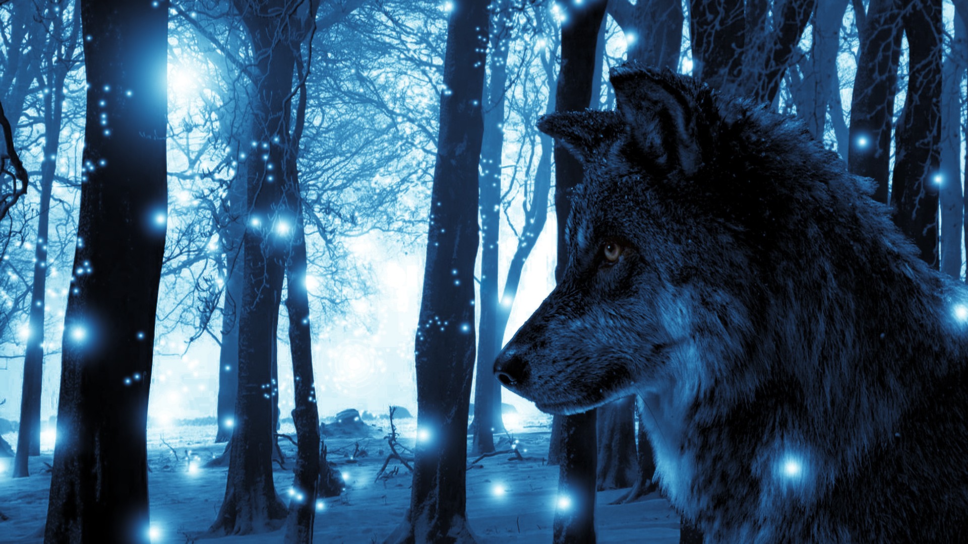 fantasy art, Wolf, Lights, Animals, Landscape, Blue, Trees Wallpaper