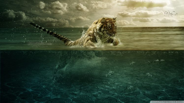 tiger, Animals, Underwater, Digital art, Fantasy art HD Wallpaper Desktop Background