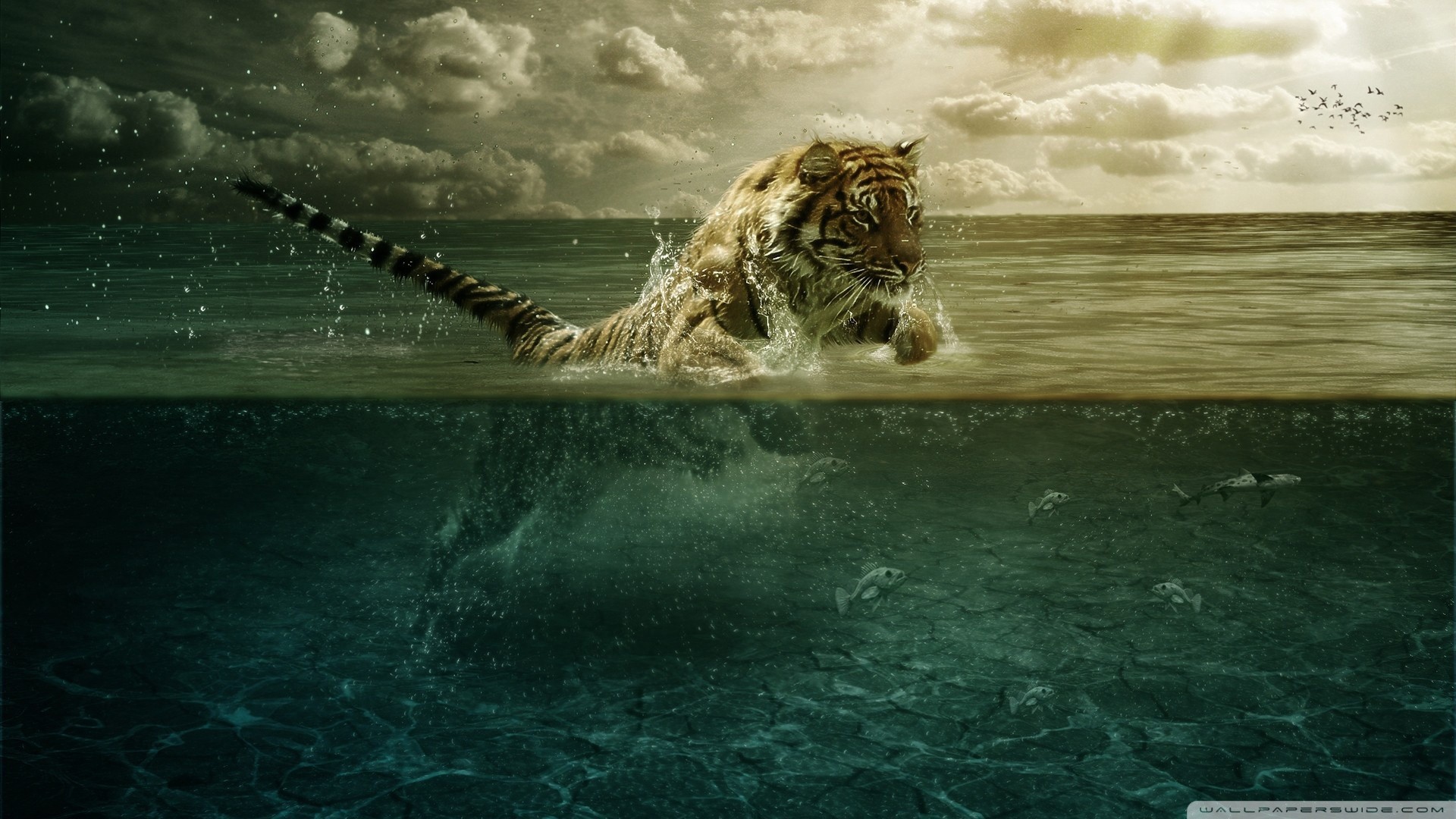 tiger, Animals, Underwater, Digital art, Fantasy art Wallpaper