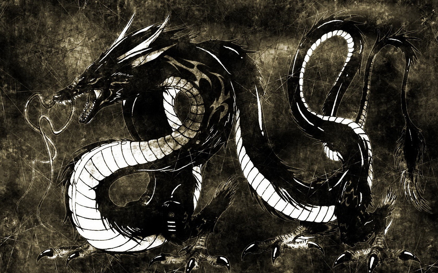 dragon Wallpaper