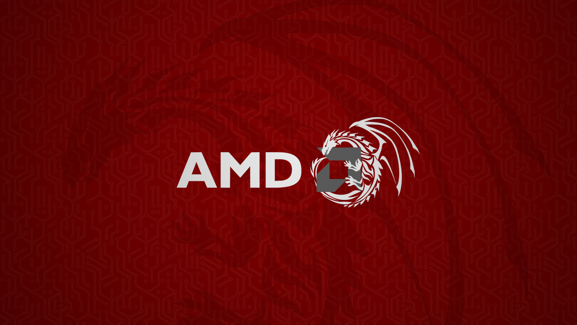 AMD, Dragon, Red Wallpaper